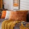 Pumpkin Fall Decorative Throw Pillow Covers 18"x18", Set of 2 Rust Red Soft Faux Fur Pillow Covers for Autumn Harvest, Fluffy Plush Accent Pillow Cases for Farmhouse Couch Cushion Covers.